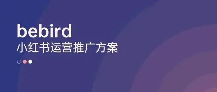Bebird<em>小红</em><em>书</em>运营<em>推广</em>方案