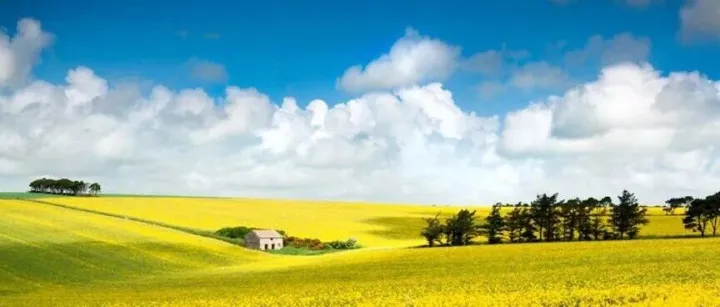 Day 294：选品做不对，运营全白费