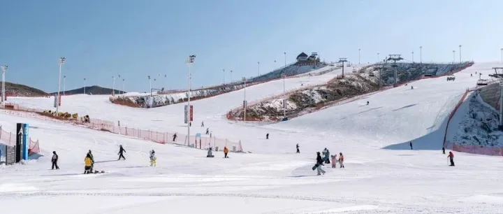 TEMU第三十九弹，高价限流还能这么玩？