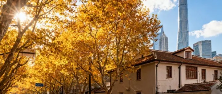 亚马逊<em>数据</em>直送VS香港公司闪电注册：谁能让你的利润<em>多</em><em>活</em>30天？