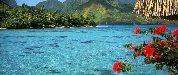 Day 295 淡季思考与减肥心得