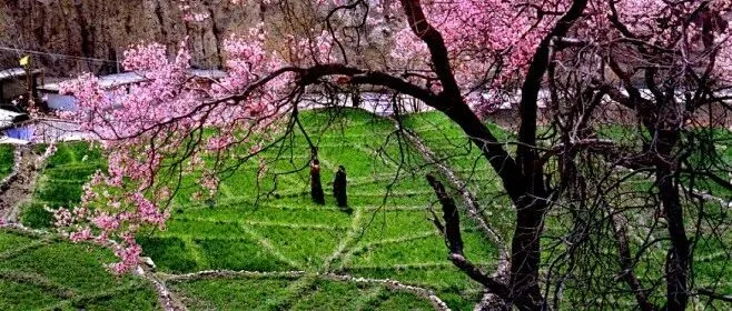 Day 300 淘汰4款失败产品后，我终于明白好产品自带流量