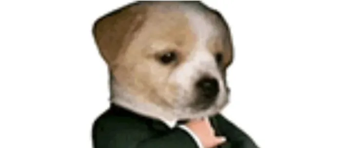 招聘会归来，我总结了三条面试通关法则