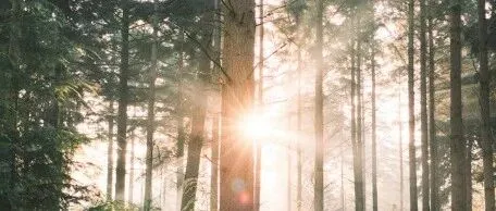 Shopee卖家必看：6大营销工具助你销量翻倍