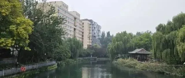 多所学校关闭、感染人数超过预期，日本宣布进入流感大流行期