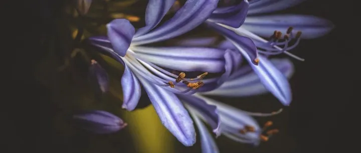 私密文件无处藏？这个一键隐藏功能太实用了！