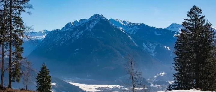 深圳12366回复9810模式亚马逊佣金税前只能扣除5%（附图）