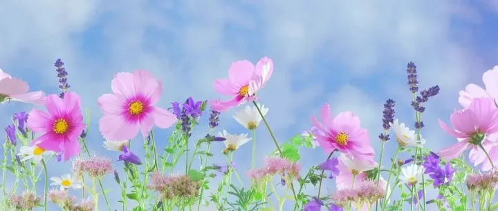 App产品设计指南结束语