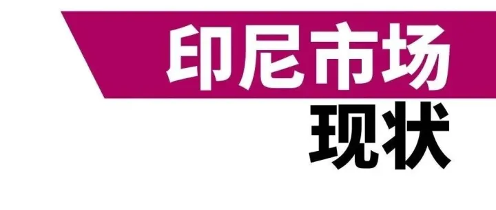 中国品牌为何抢着出海做Halal认证？