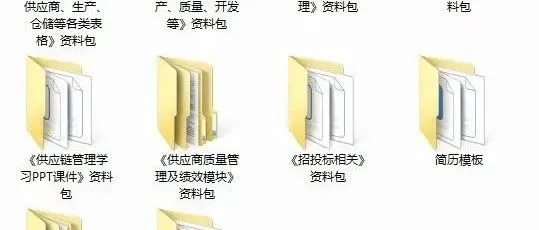 新版2000+（1.8G）套采购与供应链全套资料