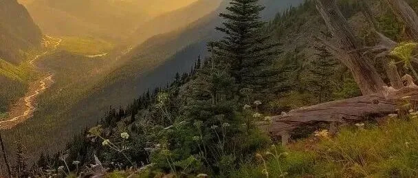 大模型的“算力”到底是个啥？这篇黄金入门指南，值得一看