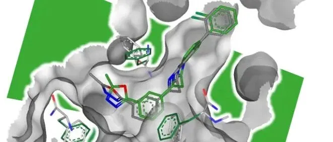 更新 | SeeSAR  14.1 with YASARA