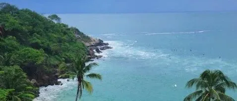 Shopee 广告新势力：解锁商店智能优化与全站推广新玩法