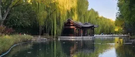 毒株与去年不同！流感进入高发季防护要趁早