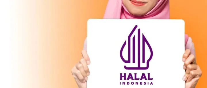 印尼清真零食市场的宏观背景：从“人口红利”到“经济引擎”