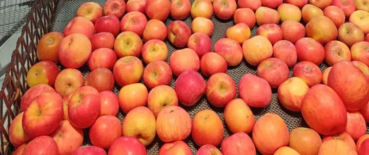 京津冀商贸新枢纽：新发地市场初冬商务指南与联玉大厦四楼功能厅首都团集采供应链招商