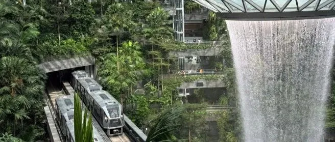 新加坡公司注册全流程指南<em>Complete</em> <em>Guide</em> to Singapore Company Registration