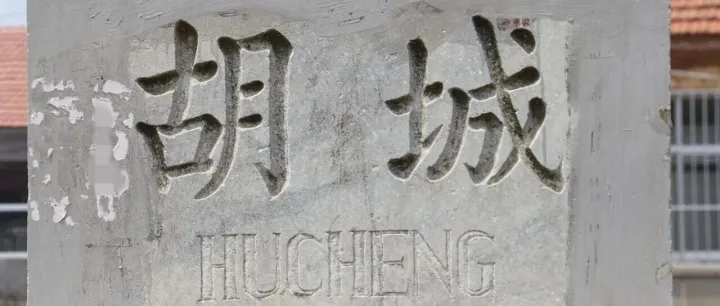 问世间，莱胡参为何物？