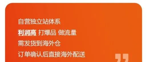 业务板块 —— FBE+海外仓