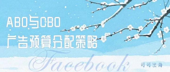 ABO与CBO：2025年Facebook广告预算分配策略