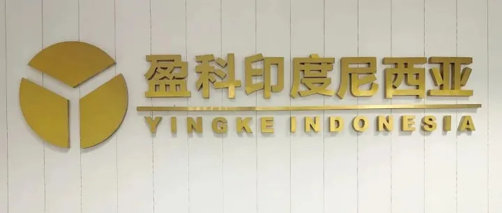 聚焦印尼市场：三大跨境法律项目成功交付