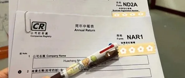 |Hong Kong Company Annual Review & <em>Audit</em>