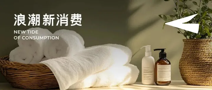 今年双11，胜利属于进入“心智”新战场的玩家