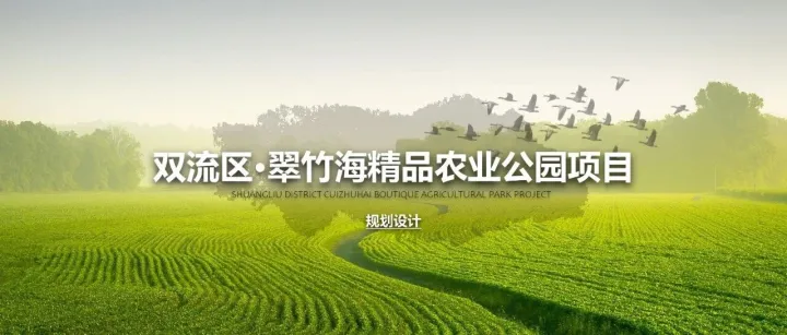 西南省会城市翠竹海精品农业公园规划设计案
