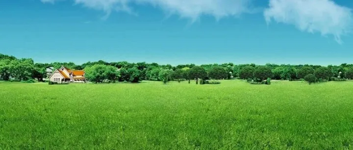 Day 299 当“卷王”来袭，我学到了什么