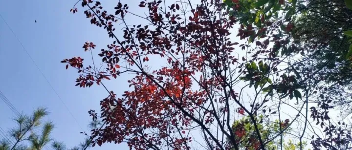 外貿(mào)SOHO半年記： 在“慢” 里釀出甜