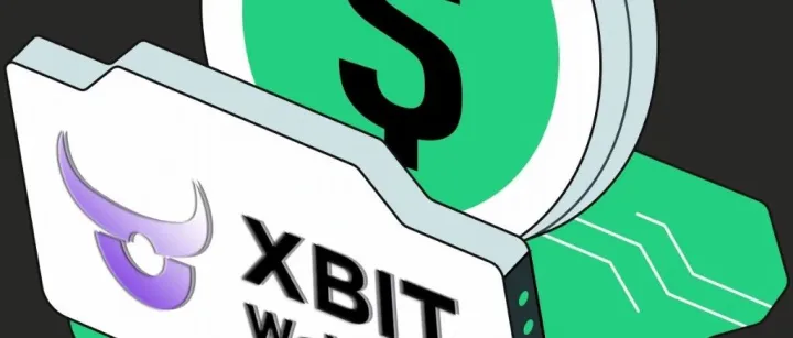 雪崩币钱包与XBIT <em>Wallet</em>合力在加密风暴中守护你的数字资产安全港湾
