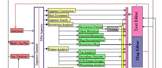 DNAMAN全功能分子生物学平台