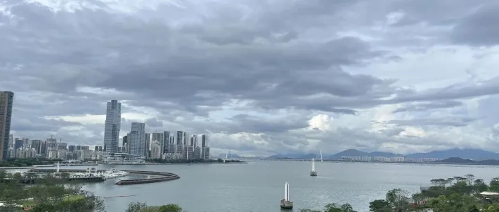 为什么赢得CEO信任的采购领导者与众不同？