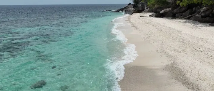 Shopee 精品店起店攻略：重广告≠瞎烧钱，这样做 30 天起量稳