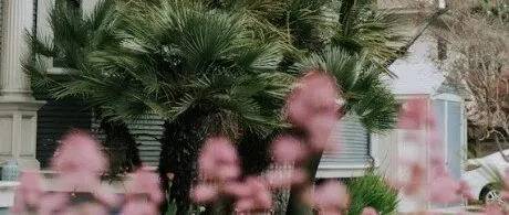 Shopee 广告新功能 “极速起量”：全站推广 ROAS 活动，这么用销量涨更快