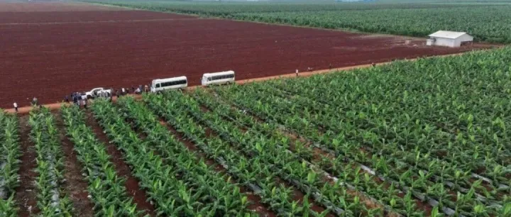 柬埔寨农业信息：前10个月吸引投资4亿，13项国际协定助出口，农业投资最长15年税，前10个月农产品出口创收41.8亿美元