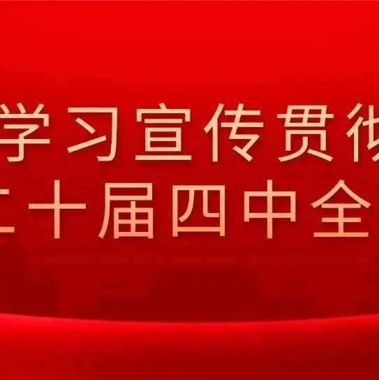 学习贯彻二十届四中全会|何为“五个进一步到位”？