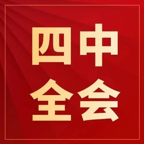 30个关键词带你速学四中全会公报