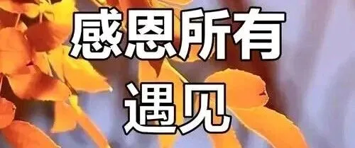 辨证思维人生维度之真诚和同频及感恩