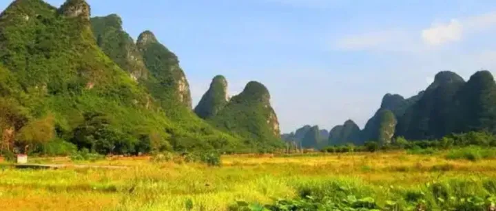 注意丨”1688行家选“商品标即将发生变更！