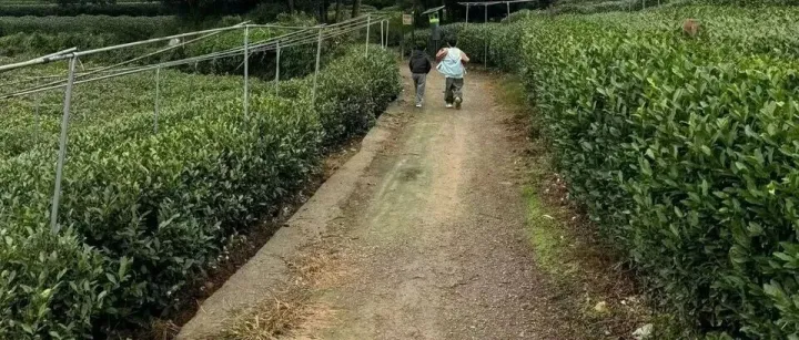 电商新规下的生死之战，微利之困