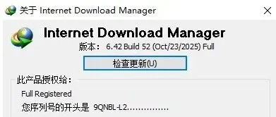 【下载神器1DM最新版 2025年11月】超强嗅探+高速下载工具详细安装与激活教程
