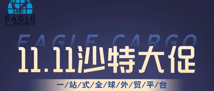 双十一沙特海运爆单预警！双清关无忧，沙特全境到门 广州雄鹰海运大促别错过!