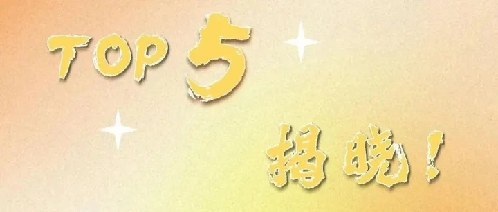 <em>TOP</em><em>5</em>揭晓！
