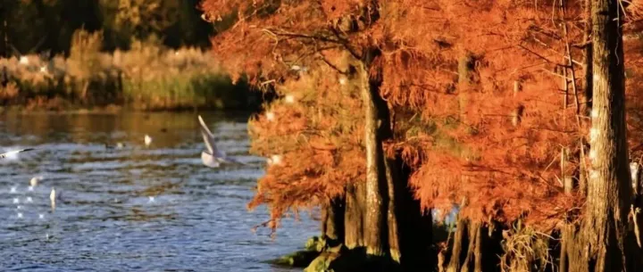 关于“直播大理·云启未来”2025年大理首届电商大赛赛程整体延后的通知