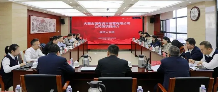 公司成功举办债券发行路演推介会