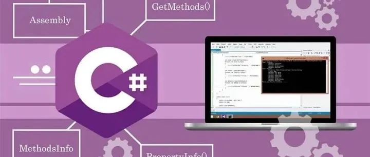 高效.NET编程实战：5个提升性能与<em>可维护性</em>的核心技巧