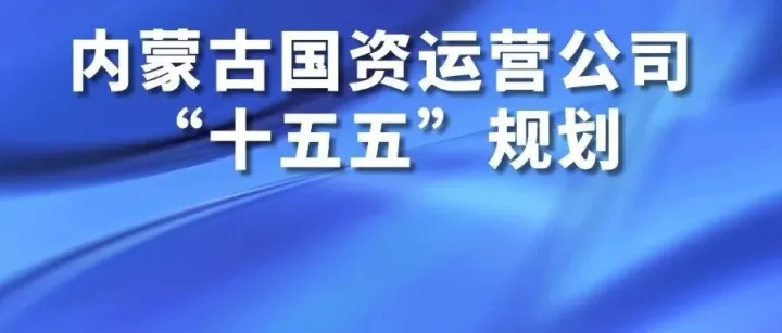 内蒙古国有资本运营有限公司“十五五”规划诚邀您建言献策