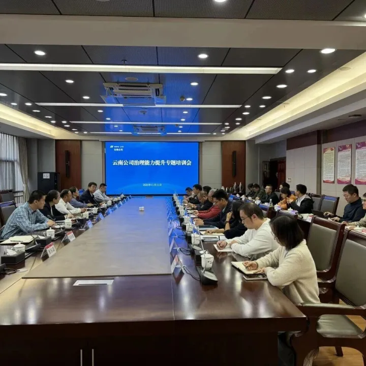 深化改革攻坚 赋能高质量发展——华电云南公司举行公司治理能力提升专题培训