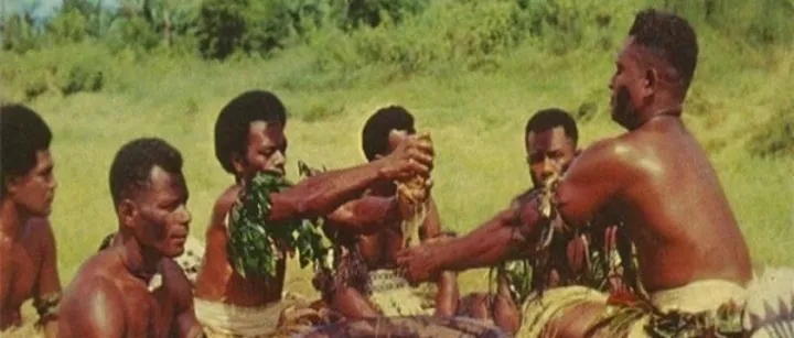 卡瓦(kava)：完美的抗焦虑、放松植物